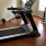 fitness center with cardio and weight lifting equipment.